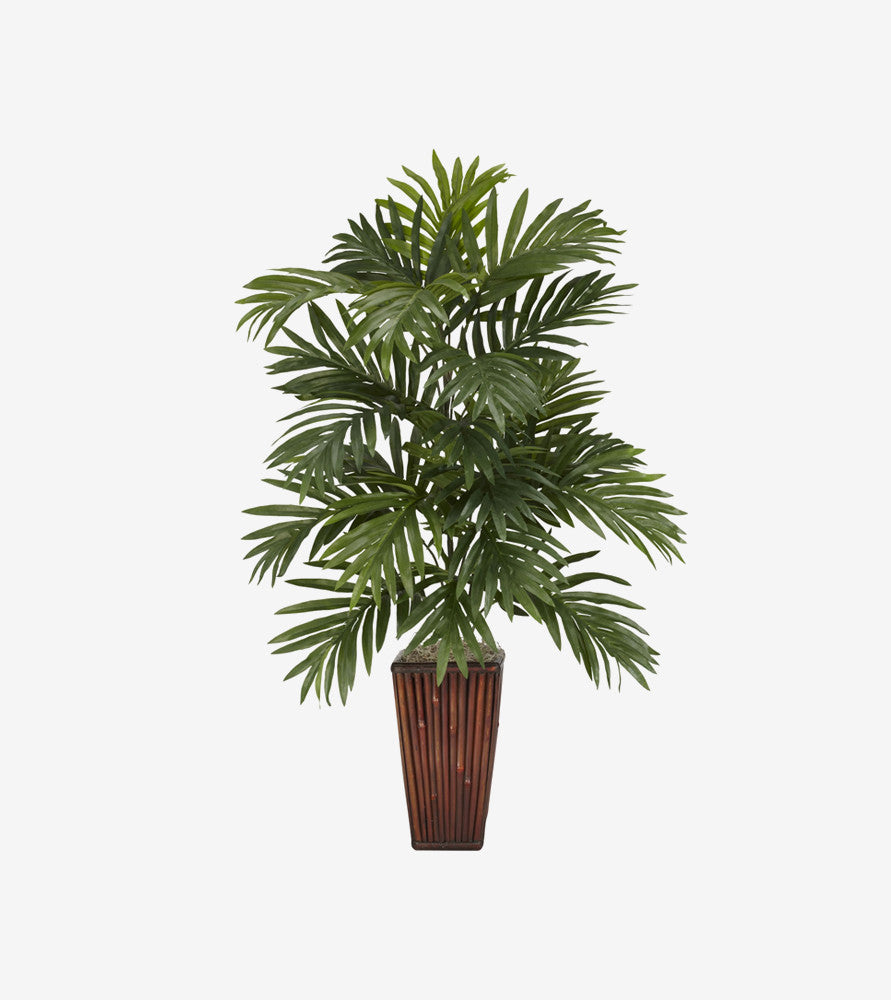 Fringilla augue 360